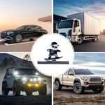 Skateboard Sliding Panda